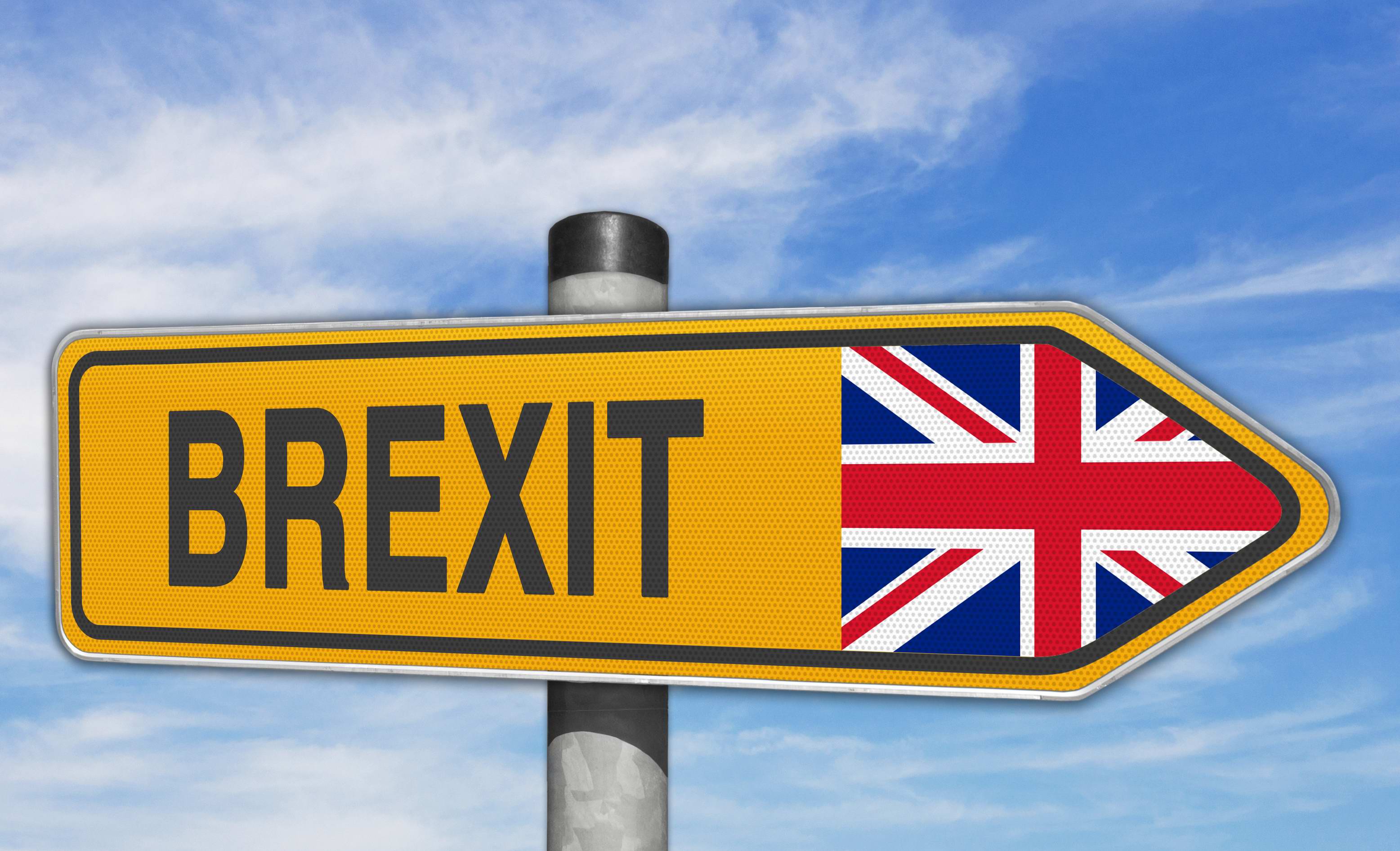 Hlasování o jednání s Británií – celní unie Hlasování o jednání s Británií – celní unie